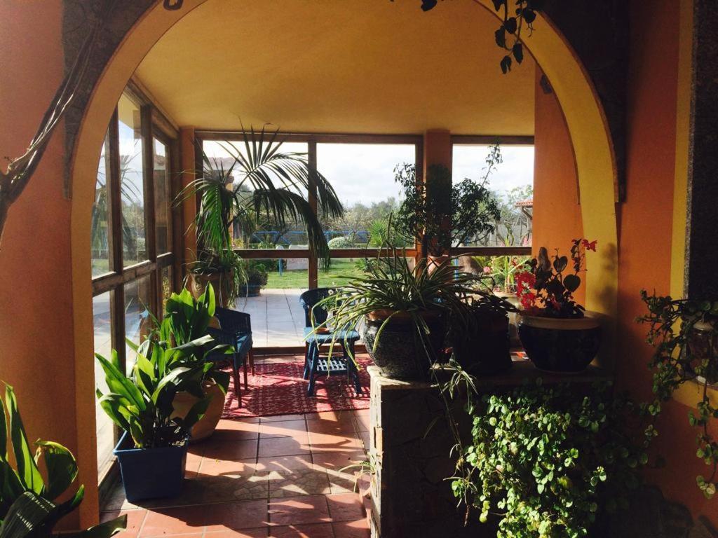 Il Bouganville Oristano Exterior foto